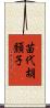 苗代胡頽子 Scroll