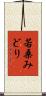 若桑みどり Scroll
