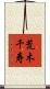 荒木千寿 Scroll