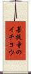 菩提寺のイチョウ Scroll