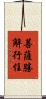 菩薩勝解行住 Scroll