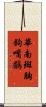 華南斑胸鉤嘴鶥 Scroll