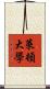 萊頓大學 Scroll