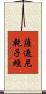 薩遮尼乾子經 Scroll