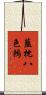 藍枕八色鶇 Scroll