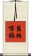 藍翅噪鶥 Scroll
