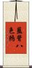 藍背八色鶇 Scroll