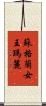 蘇格蘭女王瑪麗 Scroll