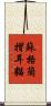 蘇格蘭摺耳貓 Scroll