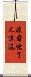 蘿蔔快了不洗泥 Scroll