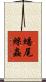 蟠尾絲蟲 Scroll