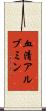 血清アルブミン Scroll