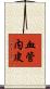 血管内皮 Scroll