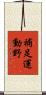 補足運動野 Scroll