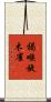 褐喉旋木雀 Scroll