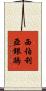 西伯利亞銀鷗 Scroll