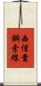 西信貴鋼索線 Scroll