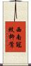 西南冠紋柳鶯 Scroll