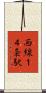 西線１４条駅 Scroll