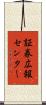 証券広報センター Scroll