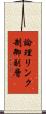 論理リンク制御副層 Scroll