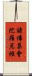 諸佛集會陀羅尼經 Scroll