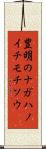 豊明のナガハノイチモチソウ Scroll