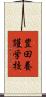豊田養護学校 Scroll