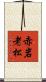 赤岩老松 Scroll