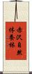 赤沢自然休養林 Scroll