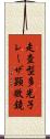 走査型多光子レーザ顕微鏡 Scroll