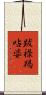 跋祿羯呫婆 Scroll