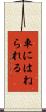 車にはねられる Scroll