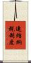 連結納税制度 Scroll
