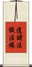 遣諸法假法緣 Scroll