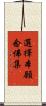 選擇本願念佛集 Scroll