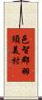 邑智郡羽須美村 Scroll