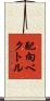 配向ベクトル Scroll