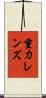 重力レンズ Scroll