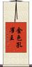 金色孔雀王 Scroll