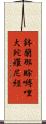 鉢蘭那賖嚩哩大陀羅尼經 Scroll