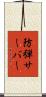 防弾サーバー Scroll