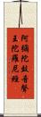 阿彌陀鼓音聲王陀羅尼經 Scroll