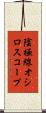 陰極線オシロスコープ Scroll