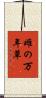 雌の万年草 Scroll