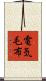 電気毛布 Scroll