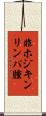 非ホジキンリンパ腫 Scroll