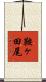 鞍ヶ田尾 Scroll