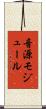 音源モジュール Scroll