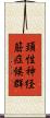 頚性神経筋症候群 Scroll